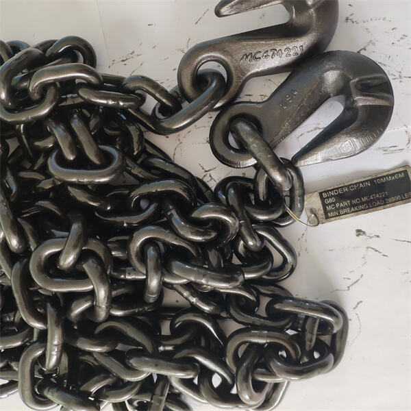 Maintenance and Inspection Picture and Check List for G80 Chains